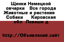 Щенки Немецкой овчарки - Все города Животные и растения » Собаки   . Кировская обл.,Леваши д.